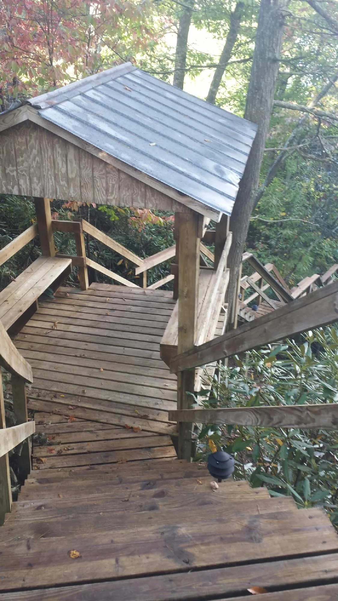 Metal roofed shelter over wooden steps on a wooded walkway — Skylight Repair & Installation work by our crew in Mabton