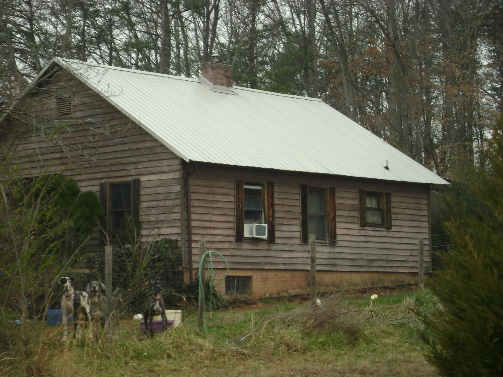 White metal roof on an old wood sided farmhouse, from a Asphalt Shingle Roof Repair job in Mabton